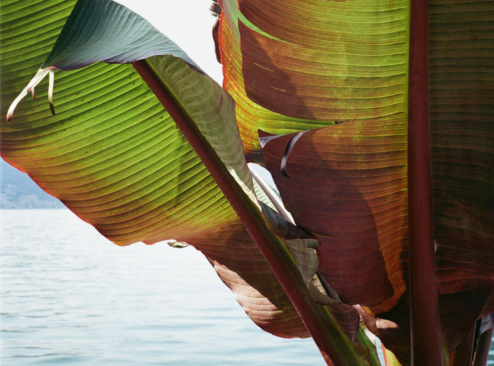 Dear readers Dear readers