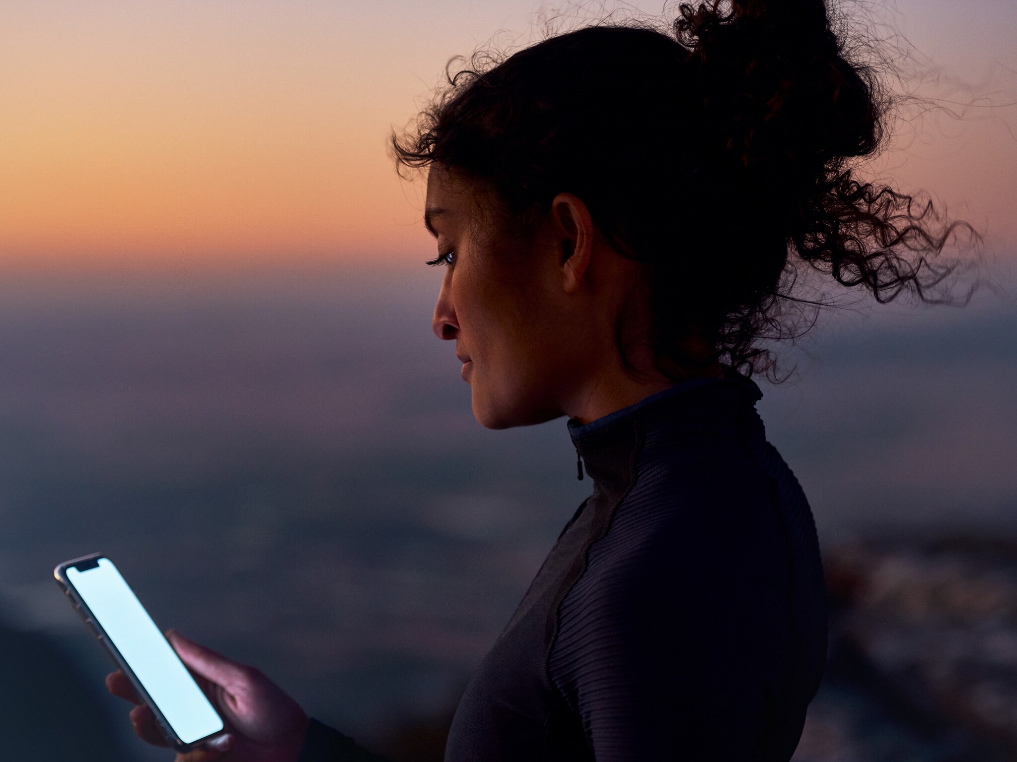 LINGUATRONIC online voice control